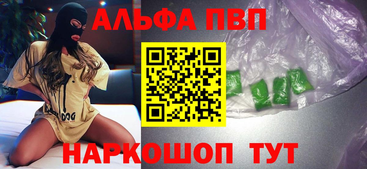 Alfa_PVP СК Коряжма