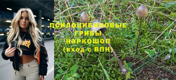соль курить ск Козельск
