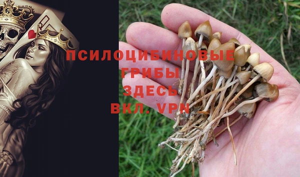 mdma Кодинск
