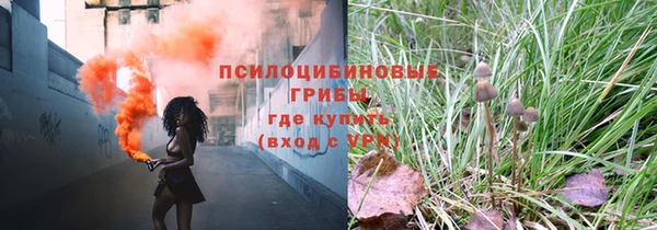 соль курить ск Козельск