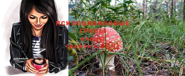 mdma Кодинск