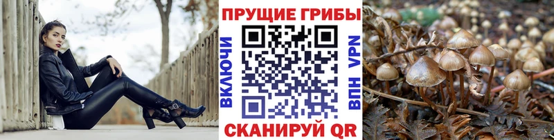 Псилоцибиновые грибы GOLDEN TEACHER Коряжма