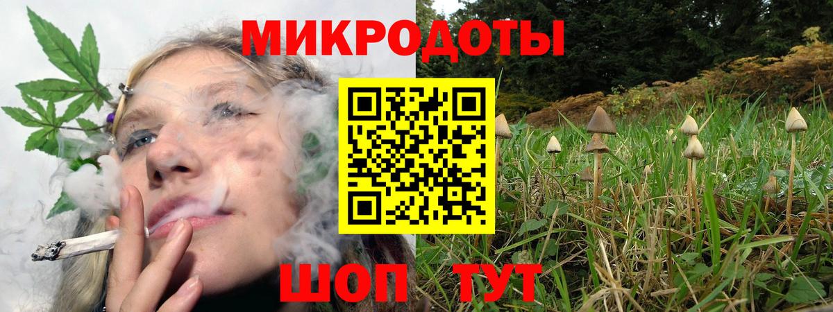 Псилоцибиновые грибы мицелий Коряжма